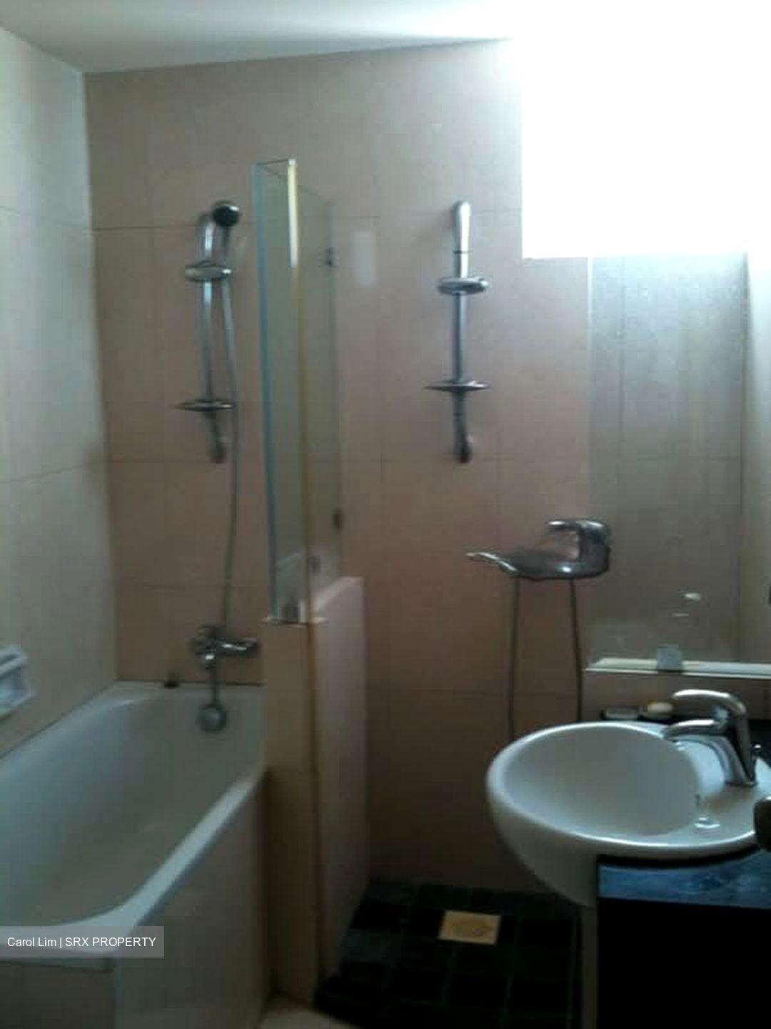 Torieview Mansions (D14), Apartment #596395541